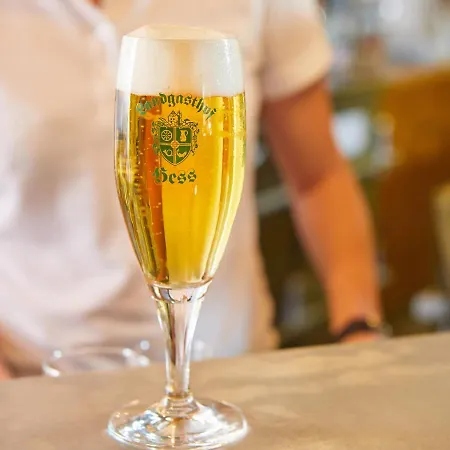 Landgasthof Hess فندق 3*